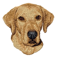 Rhodesian Ridgeback