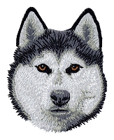 Siberian Husky