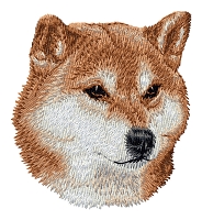 Shiba Inu