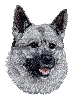 Norwegian Elkhound