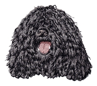 Puli