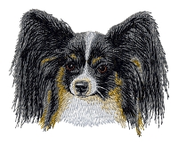 Papillon