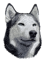 Siberian Husky
