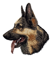 German Shepherd