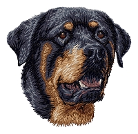 Rottweiler