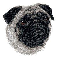 Pug