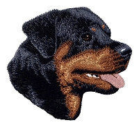 Rottweiler