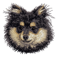 Pomeranian