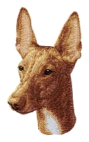 Pharaoh Hound