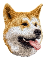 Shiba Inu