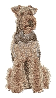Welsh Terrier