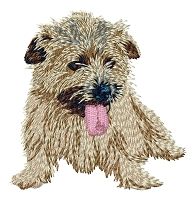 Norfolk Terrier