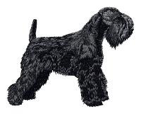 Schnauzer