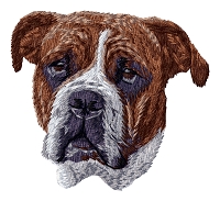 Old English Bulldog