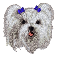 Maltese