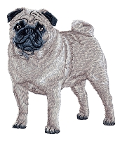 Pug