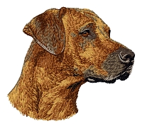 Rhodesian Ridgeback