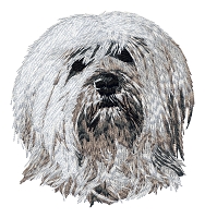 Tibetan Terrier