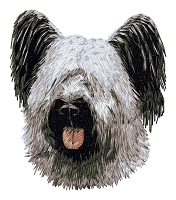 Skyeterrier