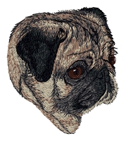 Pug