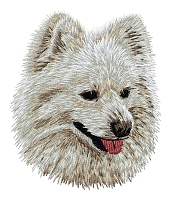 German Spitz