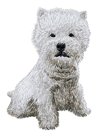 West Highland White Terrier