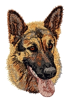 German Shepherd