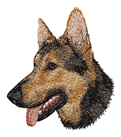 German Shepherd