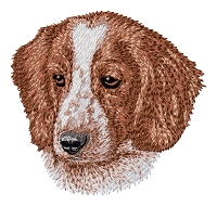 Welsh Springer Spaniel