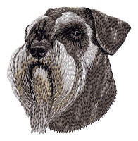 Schnauzer