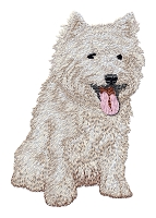 West Highland White Terrier