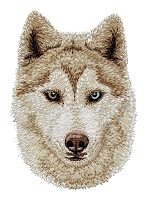 Siberian Husky