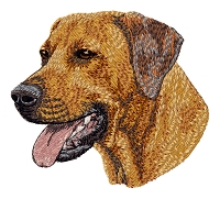 Rhodesian Ridgeback