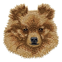 Pomeranian