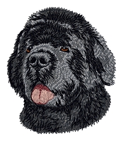 Newfoundland