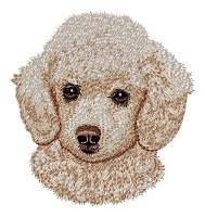 Poodle