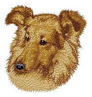 Shettland Sheepdog