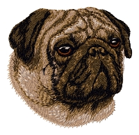 Pug