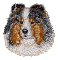 Shettland Sheepdog