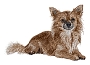 Embroidery Dog Designs