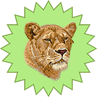 Embird embroidery stock designs  dog cat and horse design eshop for Embird embroidery stock designs  dog cat and horse design eshop for