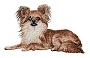 Embroidery Dog Designs