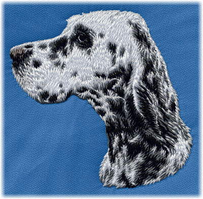 English Setter