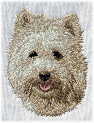 Cairn Terrier