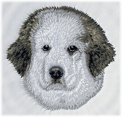 Great Pyrenees