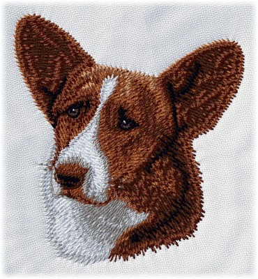 Cardigan Welsh Corgi