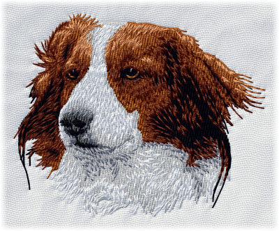 Kooikerhondje