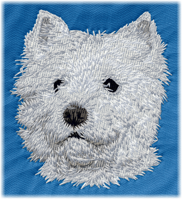 West Highland White Terrier