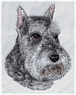 Schnauzer