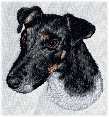 Fox Terrier